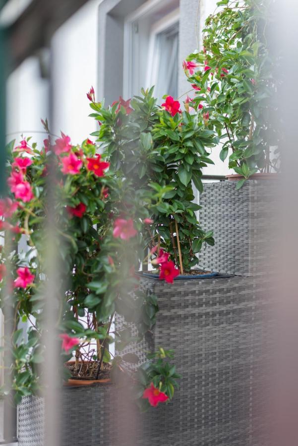 וילאך Orchideen Apartment מראה חיצוני תמונה